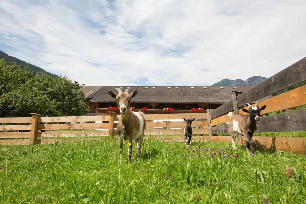 Aparthotel Hummerau Alpbach Kültér fotó